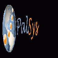 بال سس PalSys لتكنولوجيا المعلومات  - رام الله والبيرة - 1