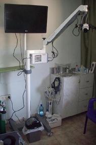 الدكتور معتز فوزي الكركي - الخليل