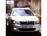 سكودا  اوكتافيا موديل 2008