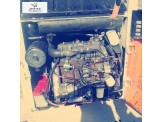 بوكات (bobcat) and - 2
