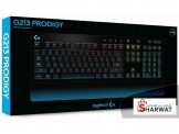 g213 RGB GAMING KEYBOARD