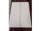 Ipad air 2