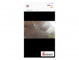 عربايه فلافل كاملة  - 2