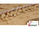 تجهيز مزارع الدواجن المغلقة بنظام الحديث - 3