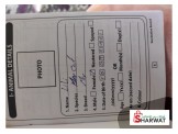 قطة انثى للبيع  - 3