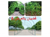 معرش للنباتات
