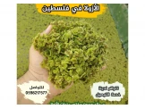 نبات أزولا - 2