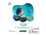 برامج المالديف الساحره بدون تاشيرات