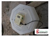 فقاسه 60 بيضة 