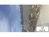 بيت بلاستيك ... بيت حماموت