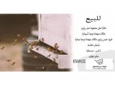 خلايا نحل 