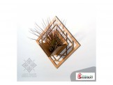 حوار ورد - 3