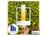 دهانات شركة الصروح
