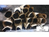 شروة فحم طبيعي 