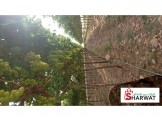 عنب للبيع في الجفتلك - 2