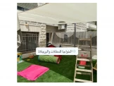 الخواجا للمظلات والبرجلاه  - 3