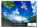 اسقف مشدودة و 3D