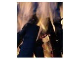 حطب زيتون للافران وللصوبات الحطب - 3
