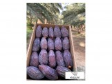 تمور الاغوار 
