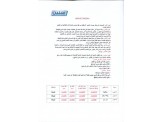 رحلة الى بيروت