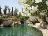 رحلة ترفيهية