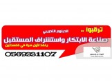 صناعة الابتكار واستشراف المستقبل الآن في فلسطين