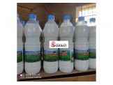 المزرعة النموذجية لانتاج حليب النوق - 2