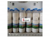 المزرعة النموذجية لانتاج حليب النوق - 3