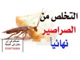 اقوى جل في فلسطين للقضاء على الصراصير