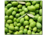 زيت زيتون جديد  - 3
