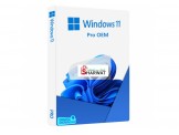 Windows 11 Pro & Home - 2