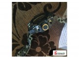 شروة ساعات بسعر مميز - 3