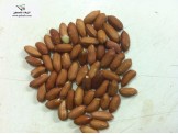 فستق سوداني موسم 2017 - 2