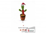 الصبارة الراقصة 