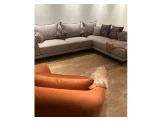 ساره هوم للمفروشات