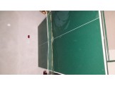طاولة تنس المانية - 3