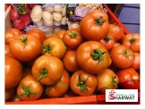 GREEN للخضار و الفواكة - 2