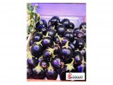 GREEN للخضار و الفواكة - 3