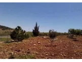 شقه للبيع بالقرب مسجد الانصار - 1