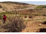 شقه للبيع بالقرب مسجد الانصار - 2