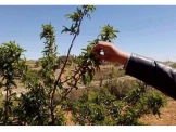 شقه للبيع بالقرب مسجد الانصار - 3