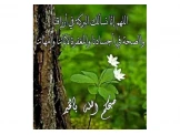 ارض للبيع قي بيرزيت مساحه للبيناء - 1