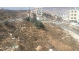 ارض للبيع في نابلس الجديدة - 1