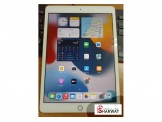 Apple  ابل ايباد الجيل السابع 32 جيجا استعمال بسيط جداً ولا خدش لون ذهبي مع شاحن وكفر ولزقة حماية اصلية السعر 950 شيكل - مستعمل -  - 2