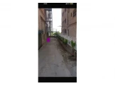 المجد قواسمة - 2